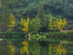 -重庆彩云湖湿地公园