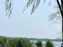 -西青郊野公园