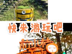 -前小桔亲子创意农场·草莓采摘·露营烧烤