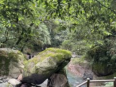 -西岭雪山大飞水景区