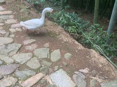 -众神白水涧景区