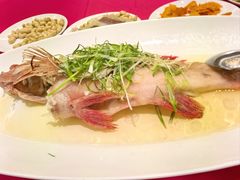 -勝記酒家·37年老字号·经典粤菜(南山花园城店)