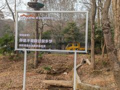 -WeLope紫金山探险公园