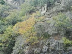 -云岫谷自然风景区
