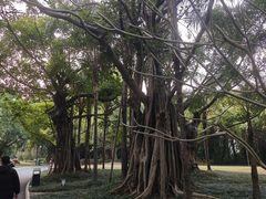 -南宁南湖公园