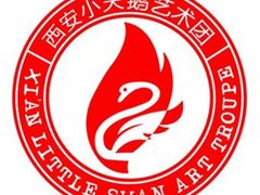 -西安小天鹅艺术团(金花路校区)