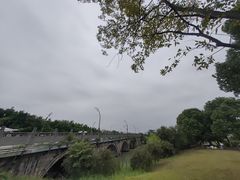 -三垟湿地