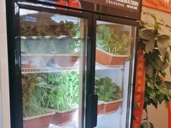 -鲁宴·鲁煨黄河生态大鲤鱼(月坛店)
