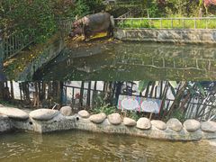 -宁波野生动物园