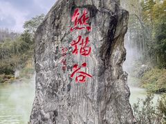 -都江堰中华大熊猫苑