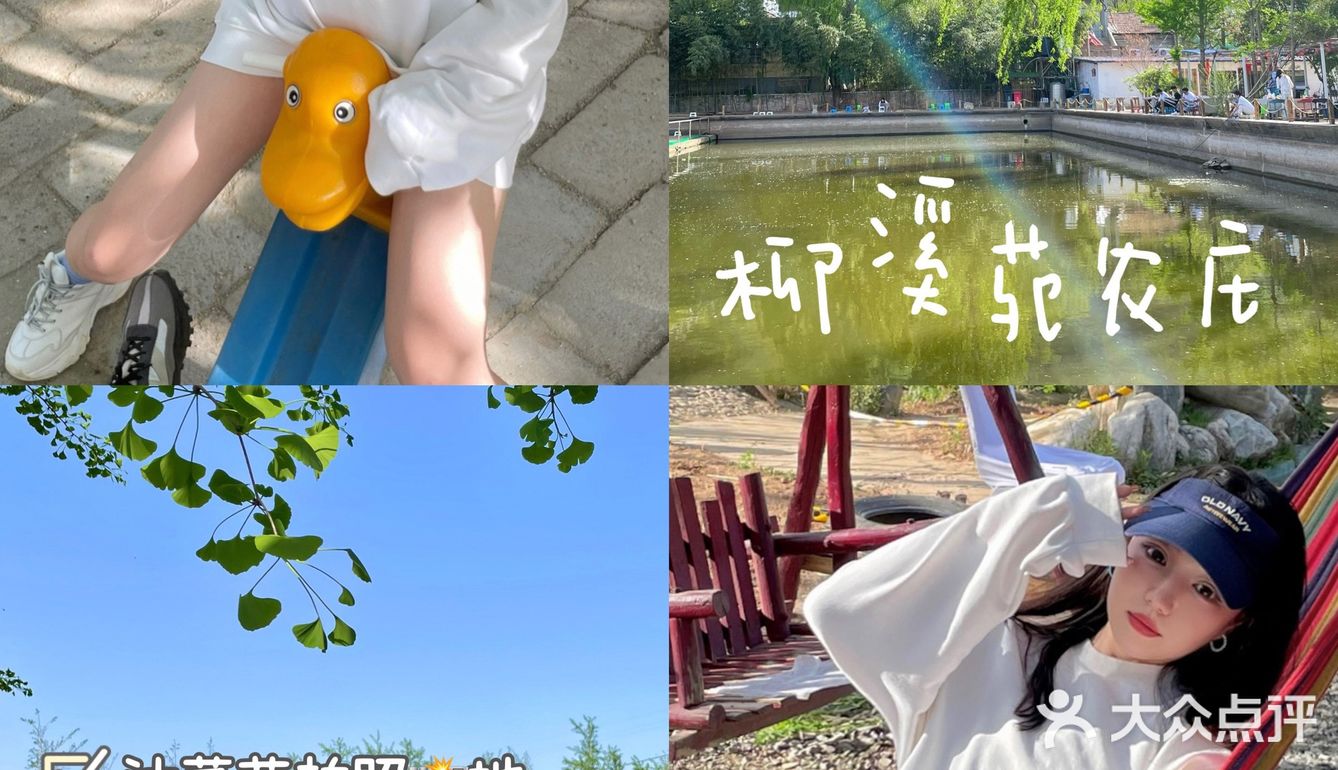 西安周边游🏞🎣坐拥油菜花田的一站式玩乐庄园
