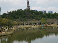 -顺峰山公园