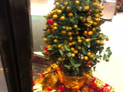 -上海浦东丽晟假日酒店