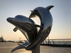 -胶州湾海底隧道