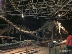 -世界恐龙谷景区