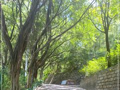-金鸡山公园
