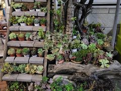 -四方小吃·白族庭院餐厅
