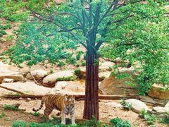 -大连森林动物园