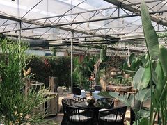 -桉树林A coffee 森林餐厅(三圣乡店)