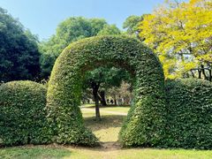-雀儿山公园