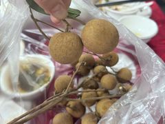 -花苑美食横琴生蚝火锅(拱北粤华路店)