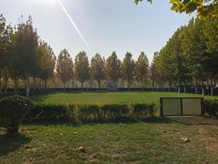 景观位-九十九顶毡房(阜石路店)