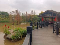 -海珠湖公园