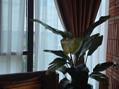 -泰合玺·精油疗愈SPA(狮山天街生活广场店)
