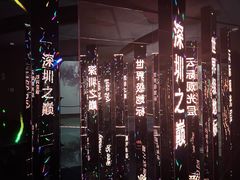 -平安金融中心云际观光层