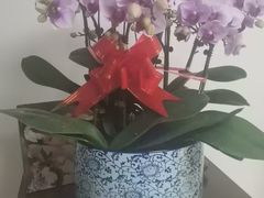 -小胖老味刨冰