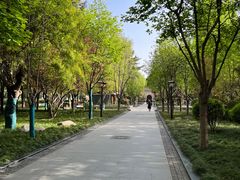 -木塔寺遗址生态公园