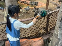 -长鹿旅游休博园