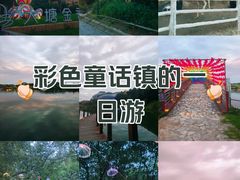 -大塘金香草谷