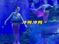 -海合安武汉极地海洋公园