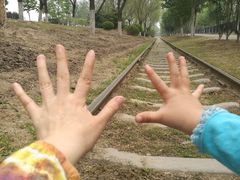 -永定河休闲森林公园