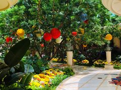 -拉斯维加斯永利酒店