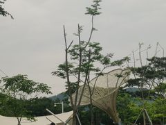 -白石龙音乐公园