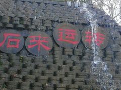 -千年银杏谷文化旅游区