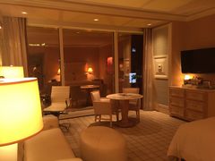 -拉斯维加斯永利酒店