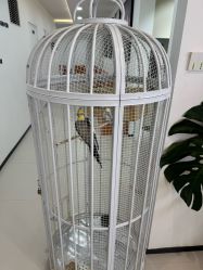 -可优蜜儿童摄影