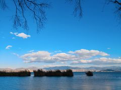-洱海月湿地公园