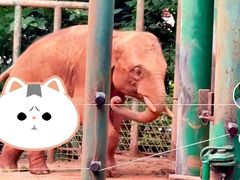 -昆明动物园