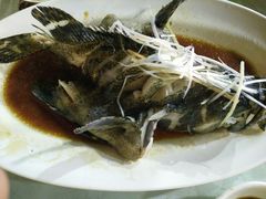 清蒸老虎斑-范饭椰林川湘味海鲜·椰子鸡(三亚湾椰梦长廊店)