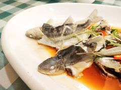 -寻味顺德·南记酒家·传统顺德菜·鱼生(广源路店)