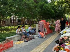 -秦美花卉(天朗·莱茵小城2期店)