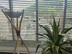 -MOJ coffee(瓯海泽雅水碓坑店)