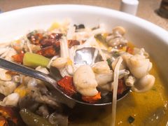 -豐柏轩食府