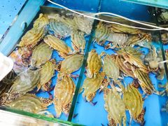 -威海海鲜王(窑头路店)