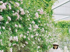 -无锡新湖铂尔曼大酒店