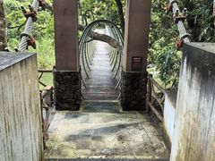 -海南热带雨林国家公园吊罗山景区